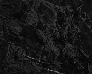 projet photographique "seul la lumière pourrait"
