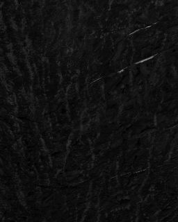 projet "seul la lumière pourrait"